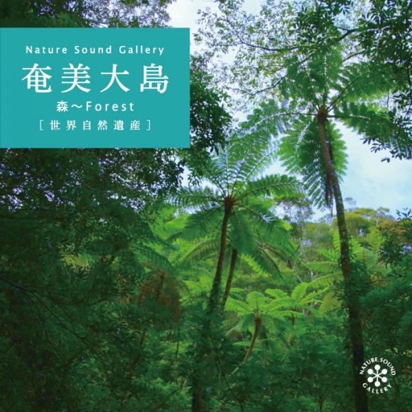 奄美大島～Forest/自然音 / ネイチャー・サウンド・ギャラリー