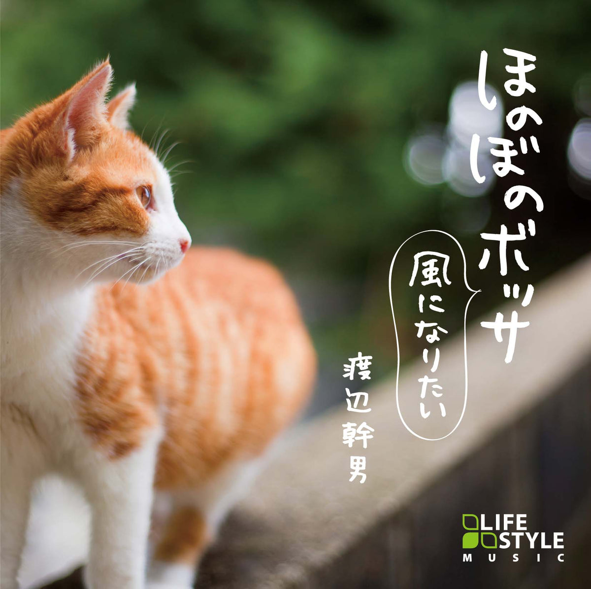 DLDH-1880_1200x1200.jpg?v=