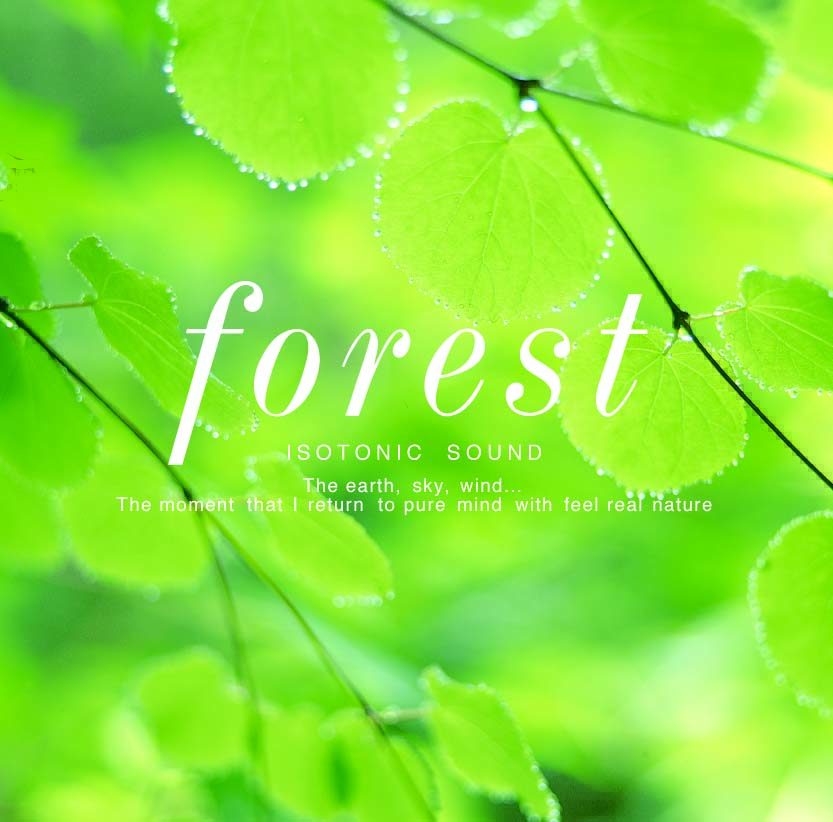 Forest〜森 / Mitsuhiro
