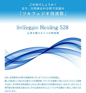 ソルフェジオ・ヒーリング528～心身を整える5つの周波数 / 林有三