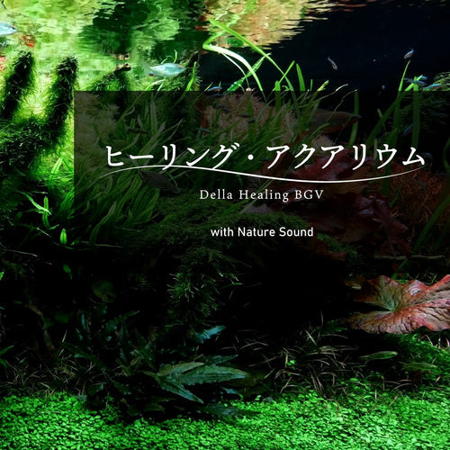 【配信開始】癒しの動画コンテンツ『ヒーリング・アクアリウム Della Healing BGV』がAmazon Prime Videoにて配信開始となりました！