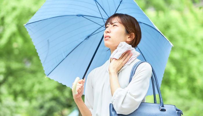 【生活】じめじめの不快指数を下げるノウハウ。エアコンだけじゃない、除湿にまつわる豆知識