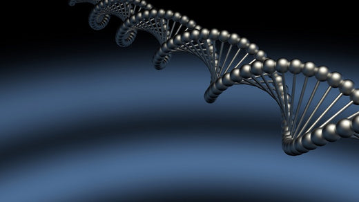 空腹を和らげる？クラシック音楽を聴きながらの食事がダイエットに効果的な 