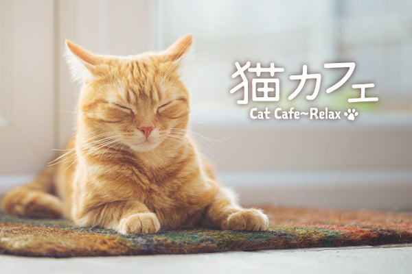 【先行リリース】 全曲「ねこ」なカバーアルバム ♪「猫カフェ～リラックス」