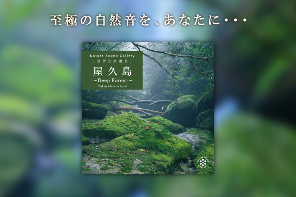 【リリース案内】8月31日 ネイチャー・サウンド・ギャラリー・シリーズより「屋久島～Deep Forest/自然音」リリース！