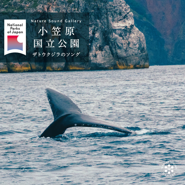 【リリース案内】「小笠原国立公園 ～ ザトウクジラのソング」ダウンロード販売開始！