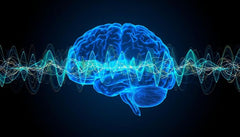 【自宅で簡単】今日からできる！ 40Hz(ヘルツ)ガンマ波を“知る”ところから始める、脳の健康を意識したセルフケア