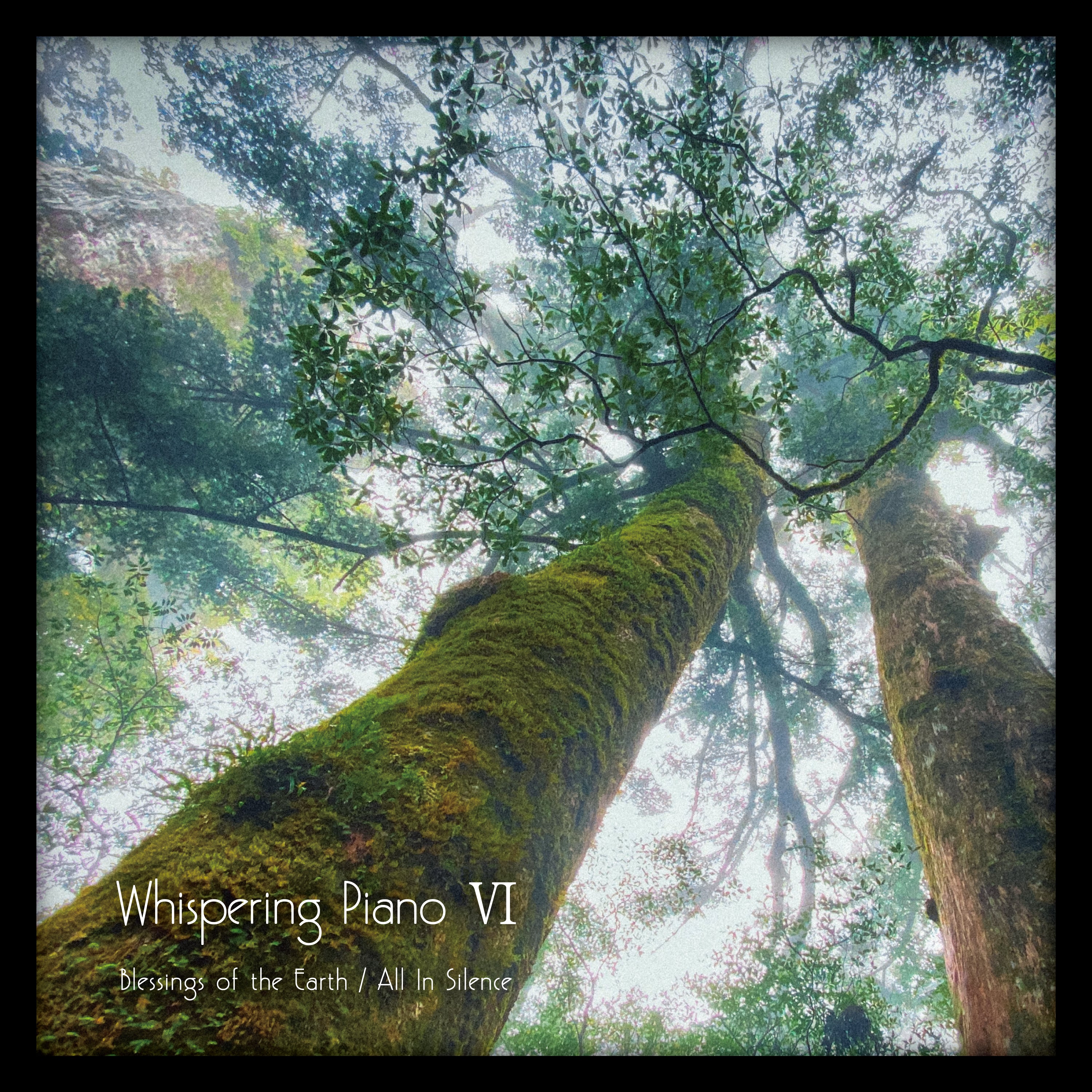 ワイズマン ヒーリングサブリミナルCD Whispering Piano Ⅵ - Blessings of the Earth - Everything is in