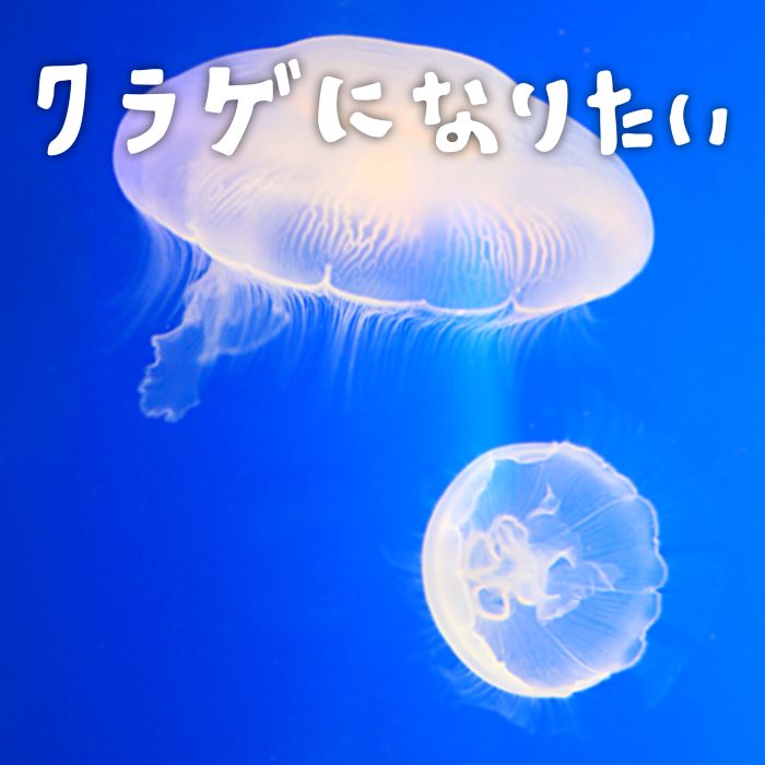 クラゲになりたい / 広橋真紀子