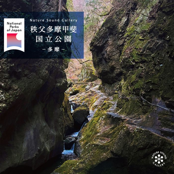 Nature Sound Gallery – 癒しの音楽ヒーリングプラザ（株式会社デラ）