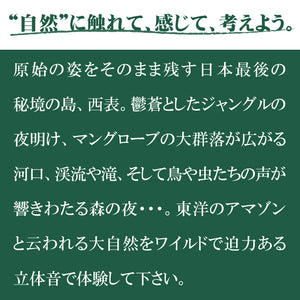 西表島 / ネイチャー・サウンド・ギャラリー