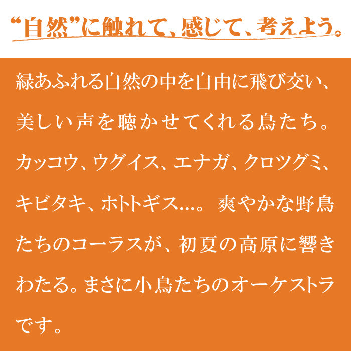 森のさえずり 森のさえずり No.50/三浦木地 | クラフト舘 ～雄大な北の大地