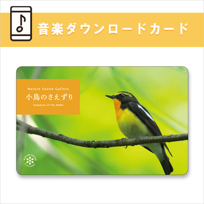 公式限定商品【ダウンロードカード】小鳥のさえずり