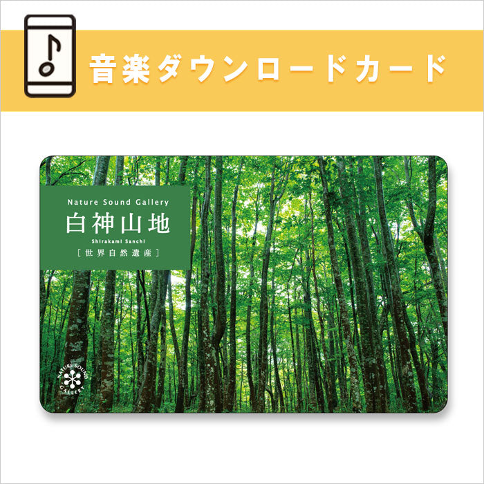 公式限定商品【ダウンロードカード】白神山地 / ネイチャー・サウンド