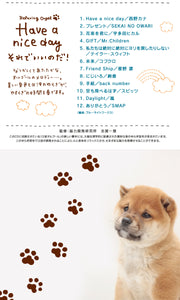 Have a nice day～それでいいのだ! / α波オルゴール