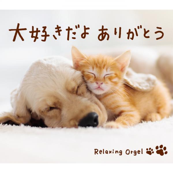 大好きだよ ありがとう / α波オルゴール – 癒しの音楽ヒーリング 大好きだよ ありがとう / α波オルゴール – 癒しの音楽ヒーリング