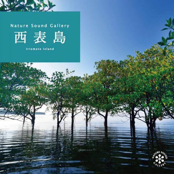 Takashi Kokubo – ｢都市生活者へおくる音風景｣ バリ～神々の戯れ