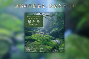 屋久島～Deep Forest/ネイチャー・サウンド・ギャラリー（自然音）